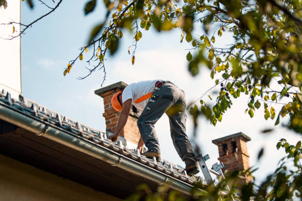 Best Best Roofing Contractors  in Campbell, OH