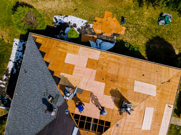Best Shingle Roofing Installation  in Campbell, OH