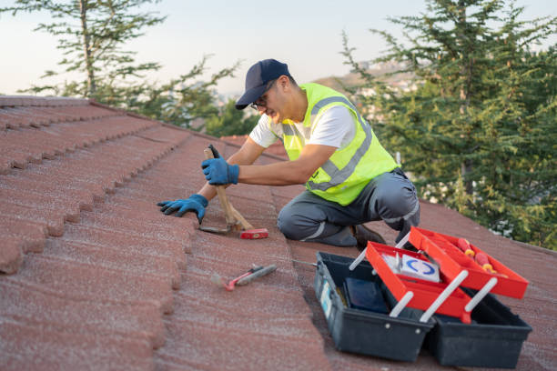 Best Roofing Contractor Near Me  in Campbell, OH