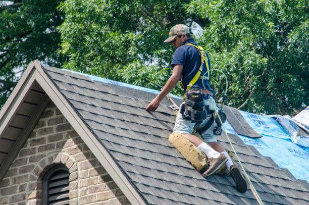 Best Roof Gutter Cleaning  in Campbell, OH