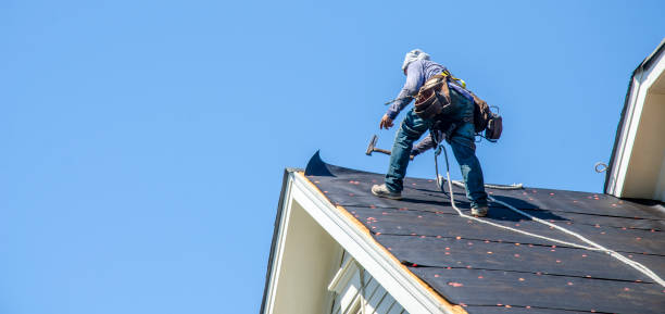 Best Roof Restoration Services  in Campbell, OH